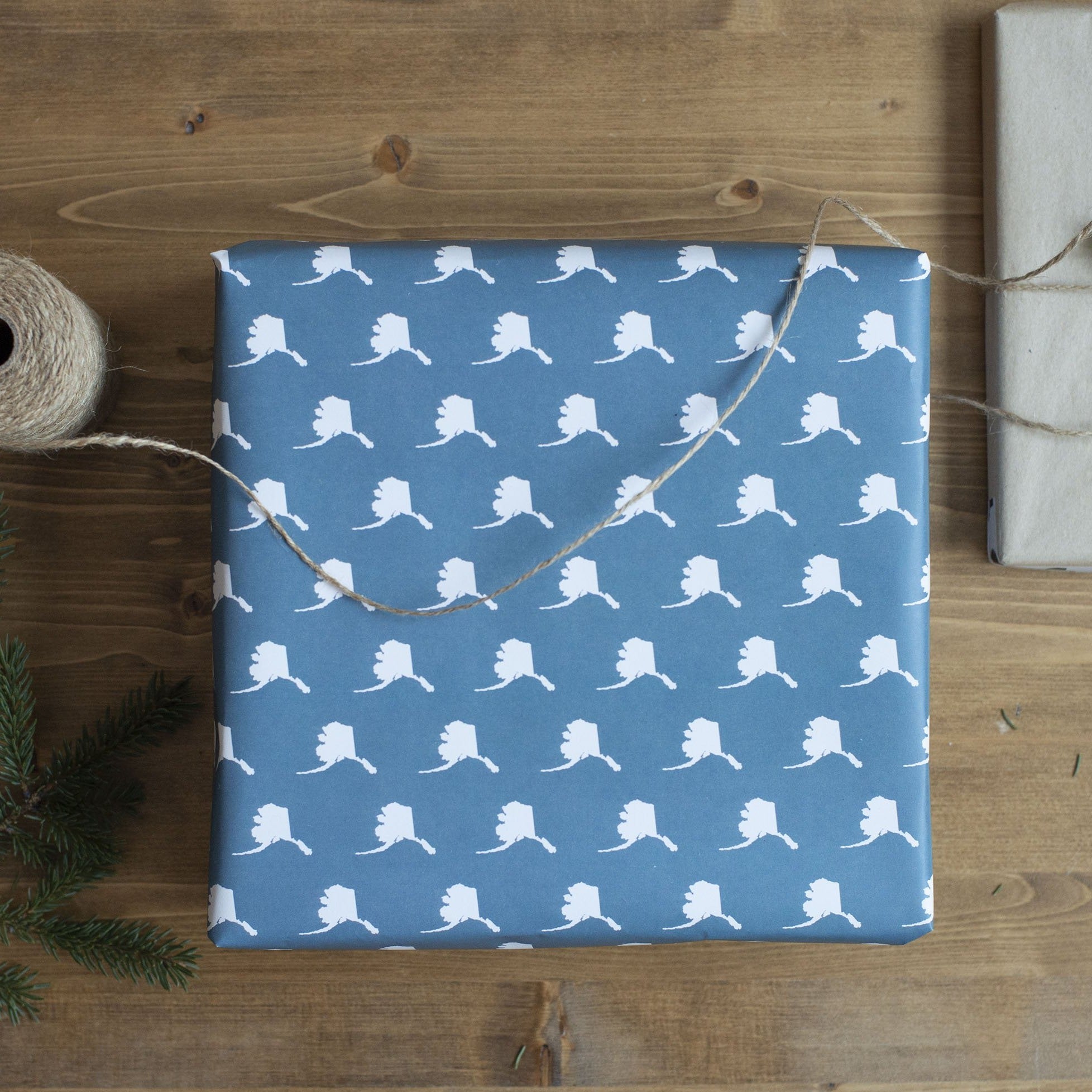 Alaska in Vintage Blue Gift Wrap